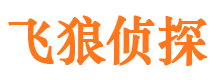 虞城侦探公司